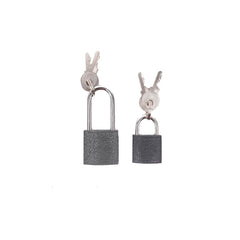 2 Pieces Small Size Lock (25 mm) - Double Keyed